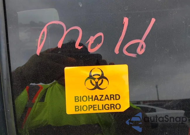 1GKEC13Z62R233154: 42229172