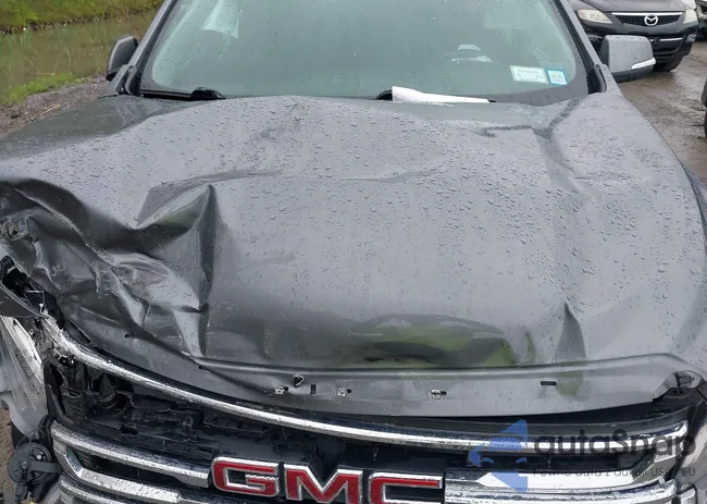 1GKKNRLS9LZ166601: 42230163