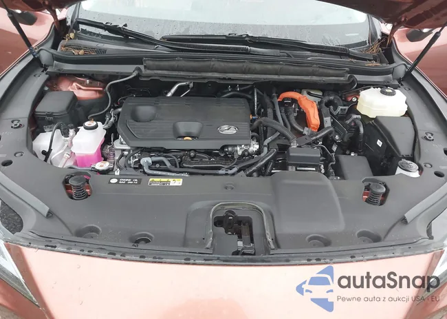 2T2BBMCA0SC066776: 42230316