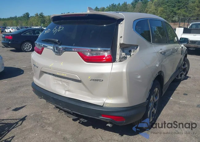 5J6RW2H50JL004108: 42231383