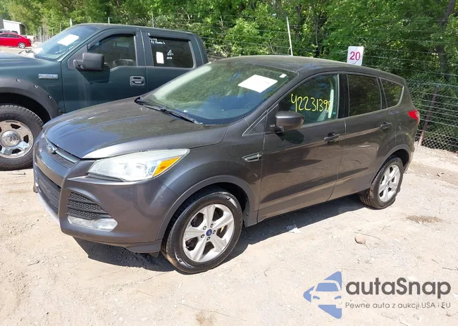 1FMCU9GX4FUB97146: 42231398