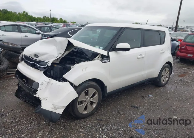 KNDJN2A20F7125131: 42231466