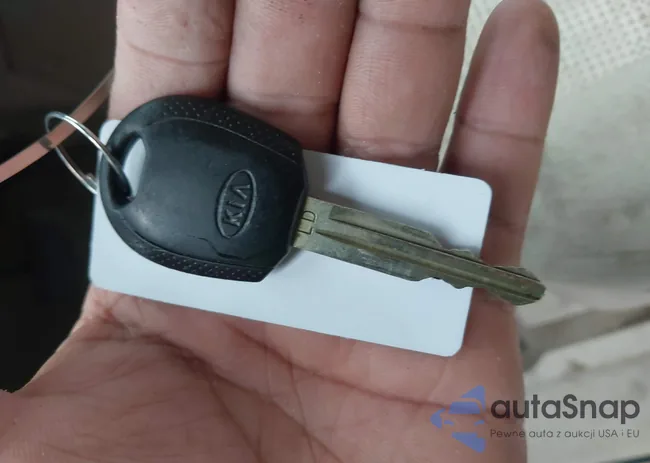 KNDJF724467285085: 42231504