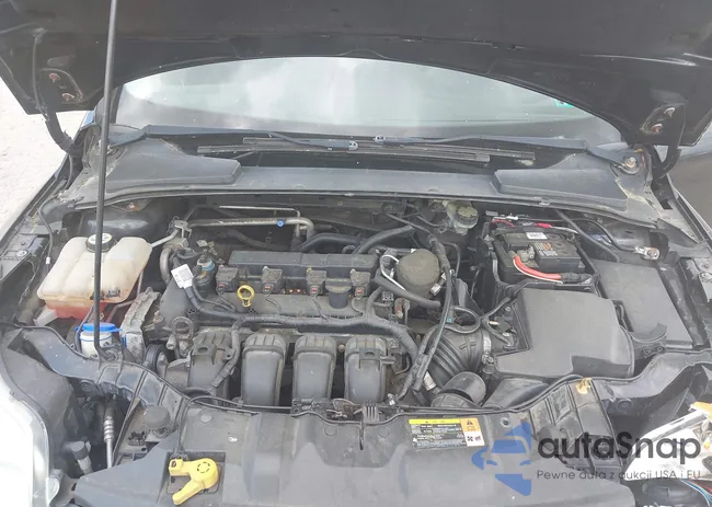 1FADP3F2XDL354156: 42231744