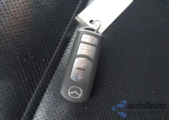 JM1GJ1W55F1181295: 42230979