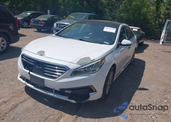 5NPE34AF7FH026551: 42231272