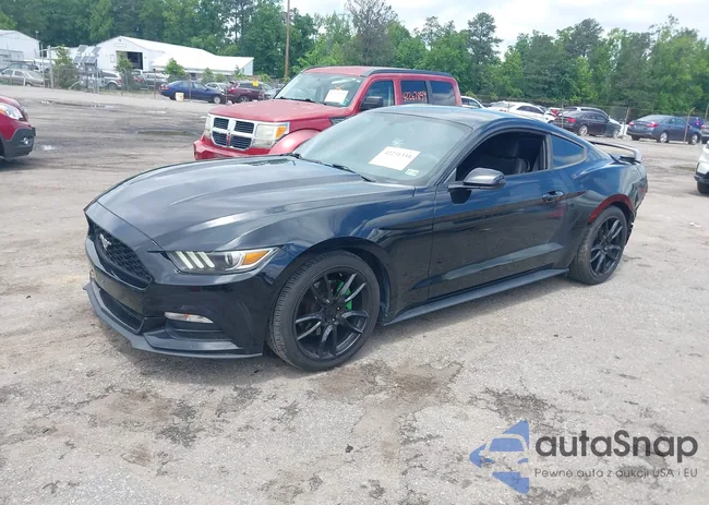 1FA6P8AM8G5251387: 42231334