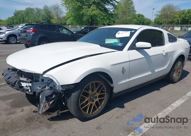 1ZVBP8AM0C5245129: 42233783