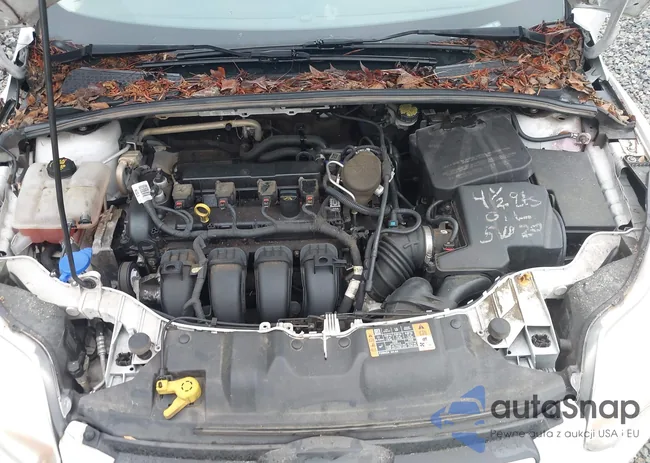 1FADP3K29EL387060: 42233359