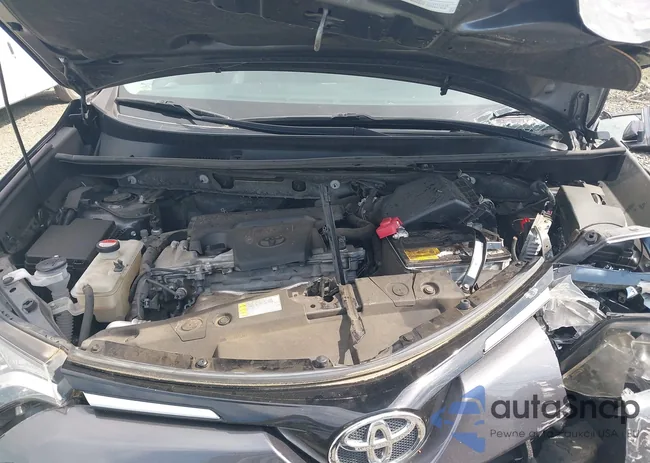 JTMBFREV1GJ091168: 42234582