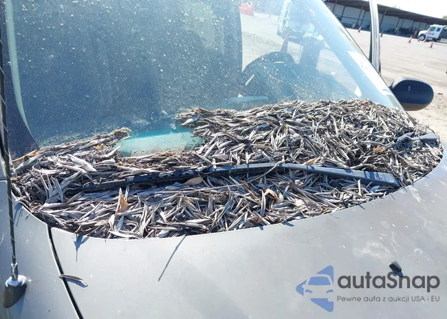 KNDUP131436400247: 42234077