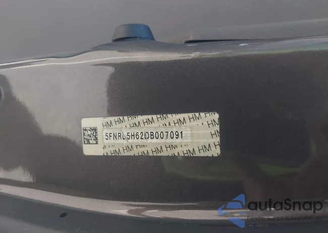 5FNRL5H62DB007091: 42234129