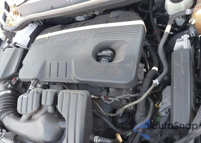 1G4PP5SK3E4196307: 42236576