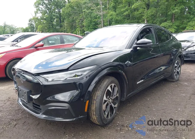 3FMTK3SU7MMA58565: 42236883