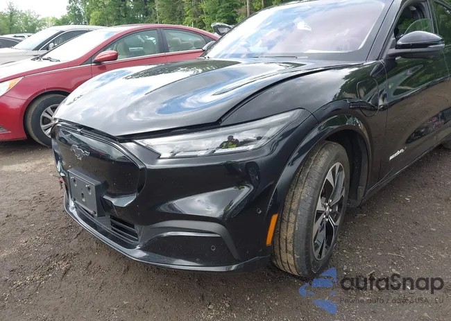 3FMTK3SU7MMA58565: 42236883