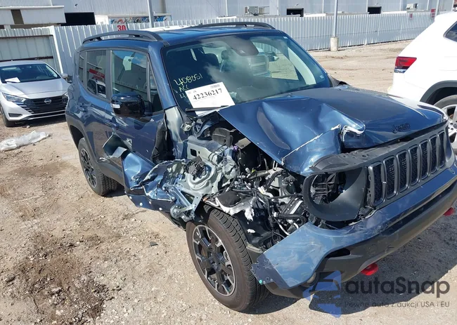 ZACNJDC19PPP70231: 42236217