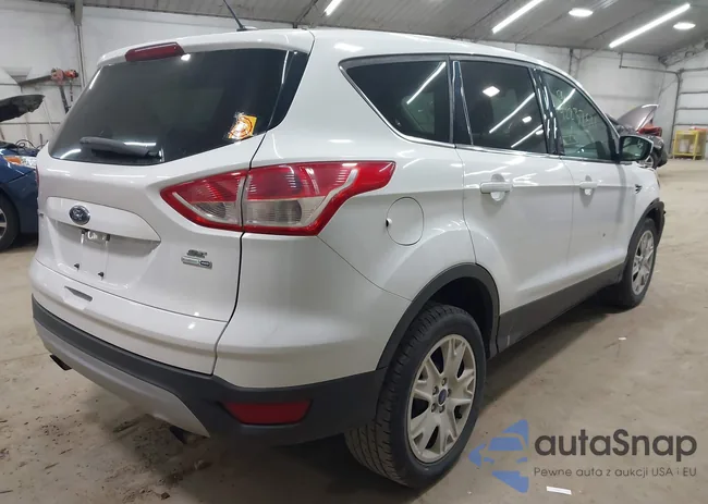 1FMCU9GX9GUC61831: 42237521