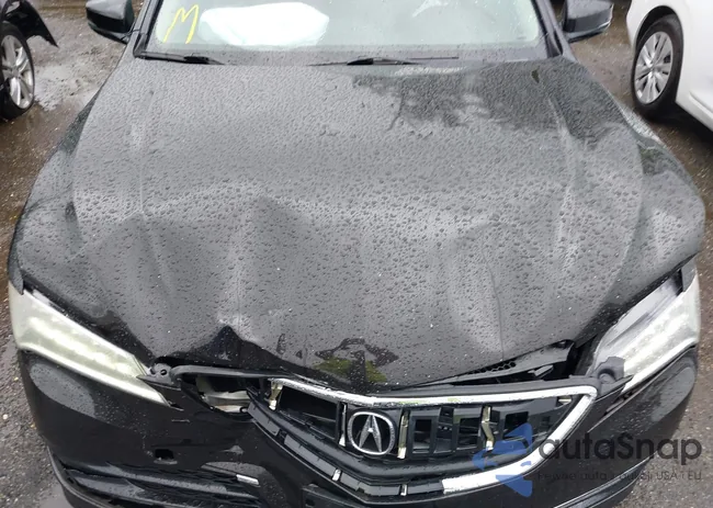 19UUB1F58FA006900: 42238076