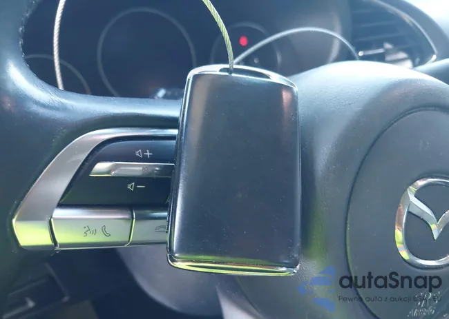 3MZBPADL9LM128895: 42239651