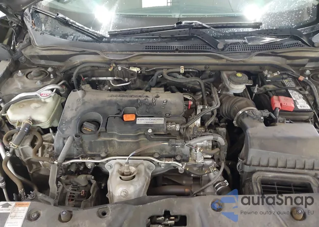 2HGFC2F69JH569887: 42239028