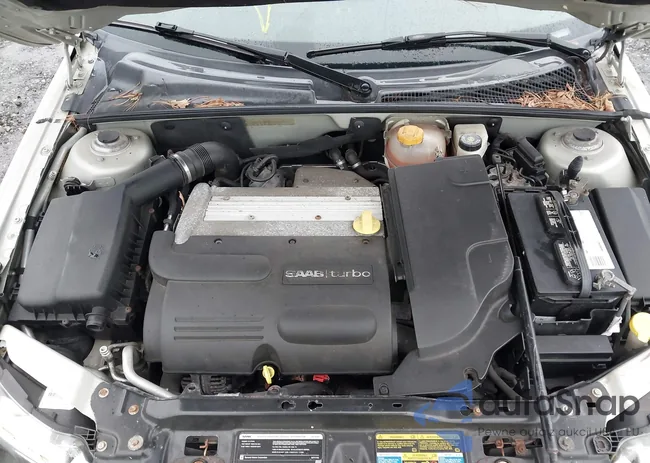 YS3FB79Y786009396: 42239302