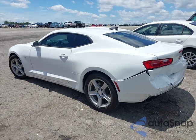 1G1FB1RX6H0101610: 42240704