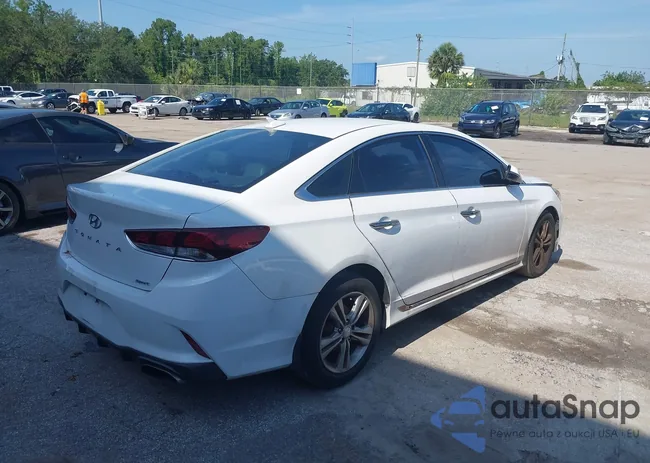 5NPE34AFXKH774141: 42240836