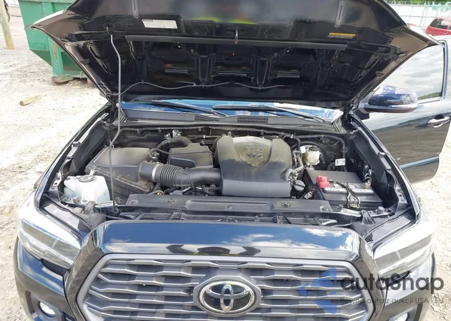 3TMBZ5DN1MM031813: 42241771