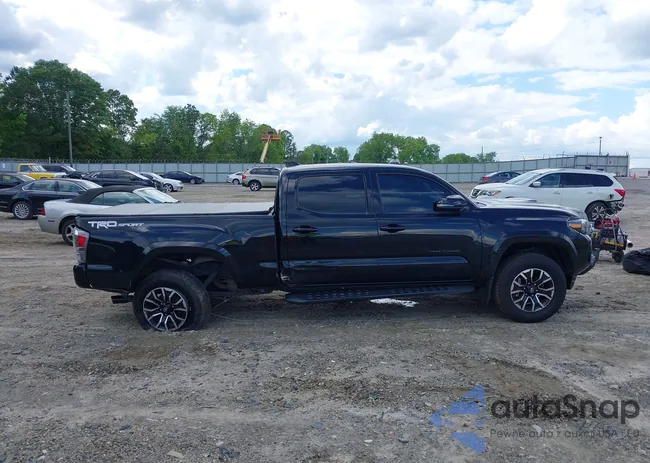 3TMBZ5DN1MM031813: 42241771