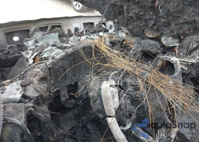 1FM5K8GC3LGA90153: 42241134