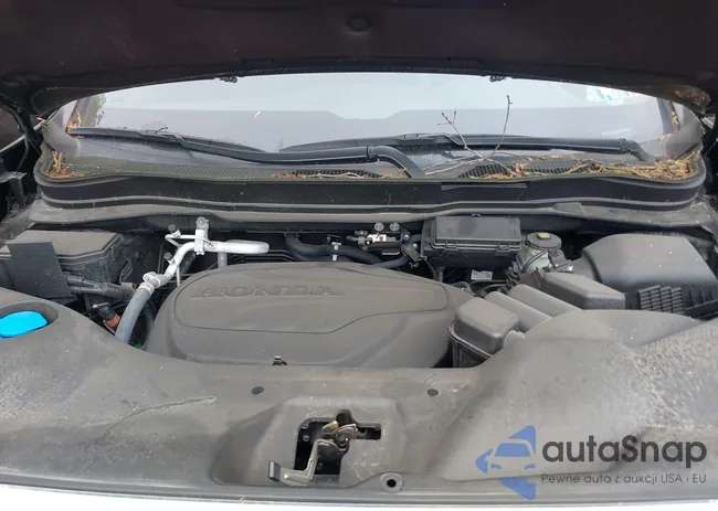 5FNYF8H53PB011859: 42242513