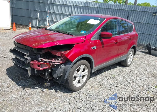 1FMCU9GX0FUC53275: 42242630