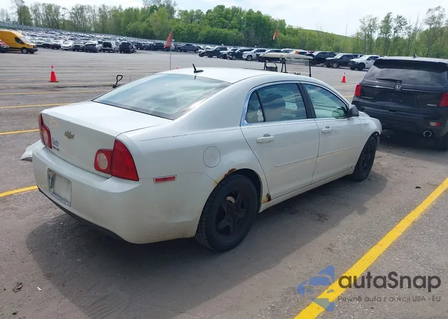 1G1ZB5EB7AF110771: 42243087