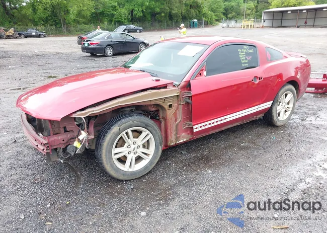 1ZVBP8AM6C5260105: 42244372