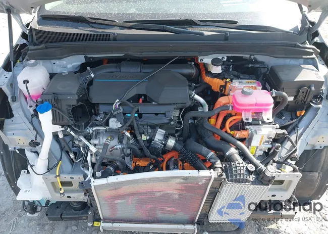 KNDNE5KA8S6042829: 42244434