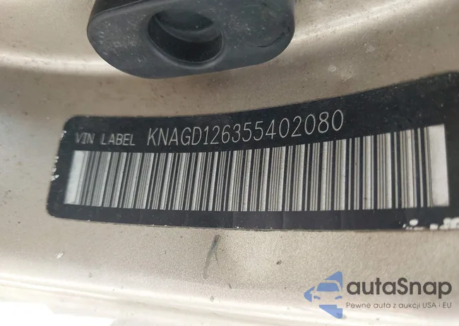 KNAGD126355402080: 42244476