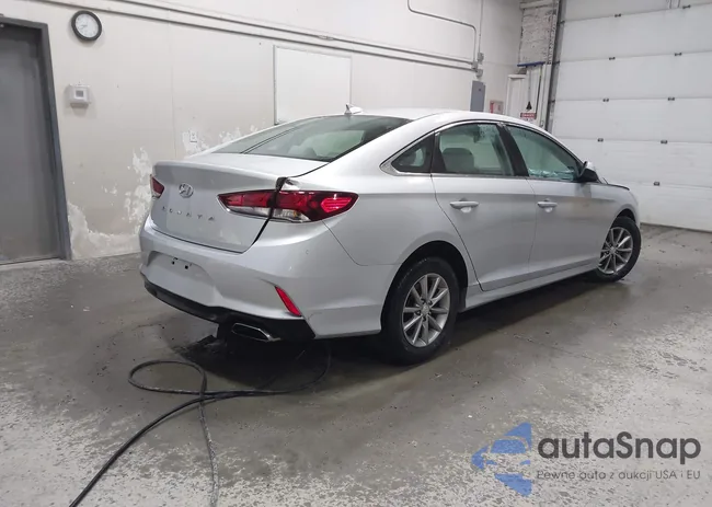 5NPE24AF3KH787686: 42244136