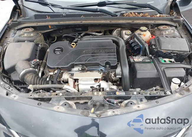 1G1ZB5ST3HF174099: 42245349