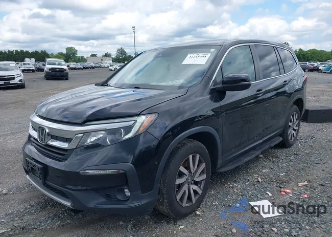 5FNYF6H52MB072796: 42245458