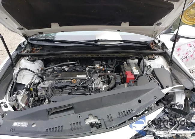 4T1C11AK4LU316588: 42245461