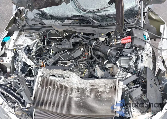 19XFC1F91KE202367: 42245666