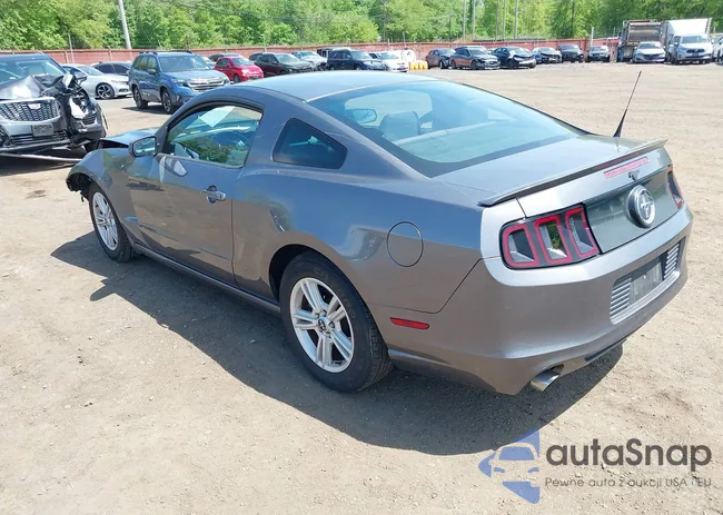 1ZVBP8AM3D5208951: 42246454