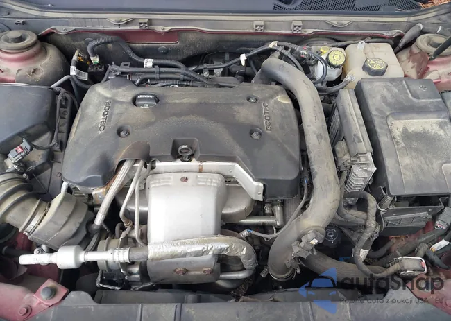 2G4GK5EX4G9206414: 42246210