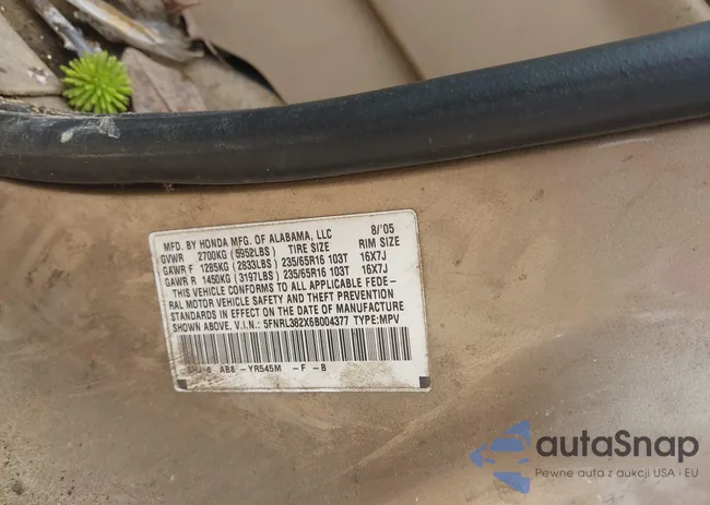 5FNRL382X6B004377: 42247228