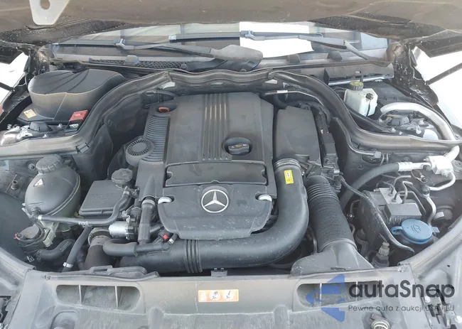 WDDGF4HB1DA808311: 42248613