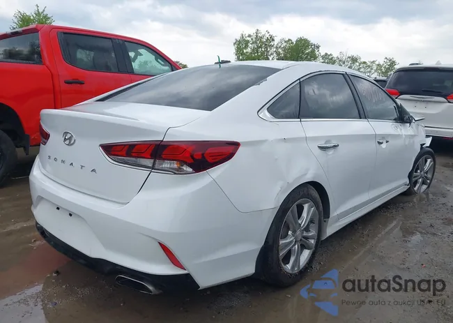 5NPE34AF8JH660850: 42248819