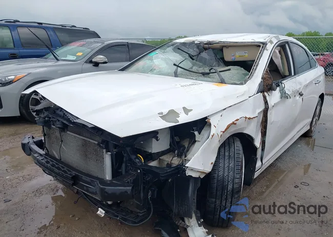 5NPE34AF8JH660850: 42248819