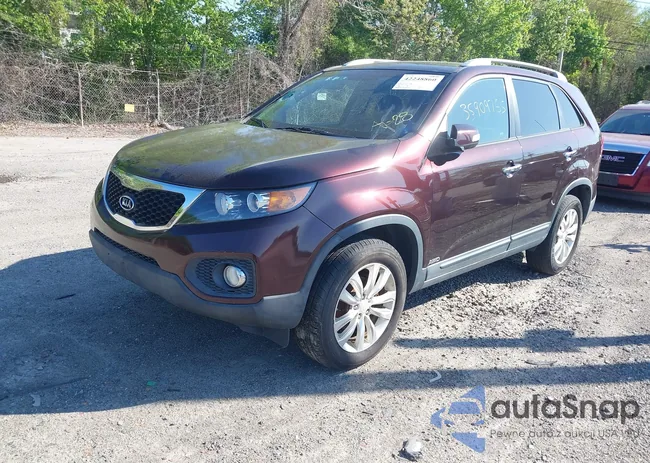 5XYKTDA2XBG173075: 42248860