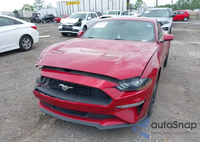 1FA6P8TH8P5101375: 42248126