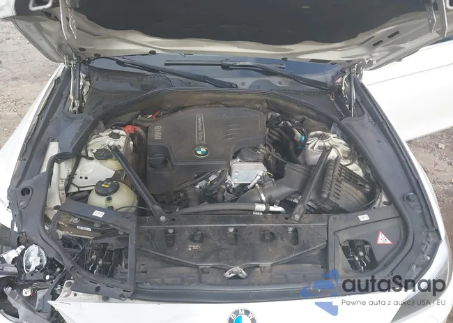 WBA5A5C54GD526994: 42248161